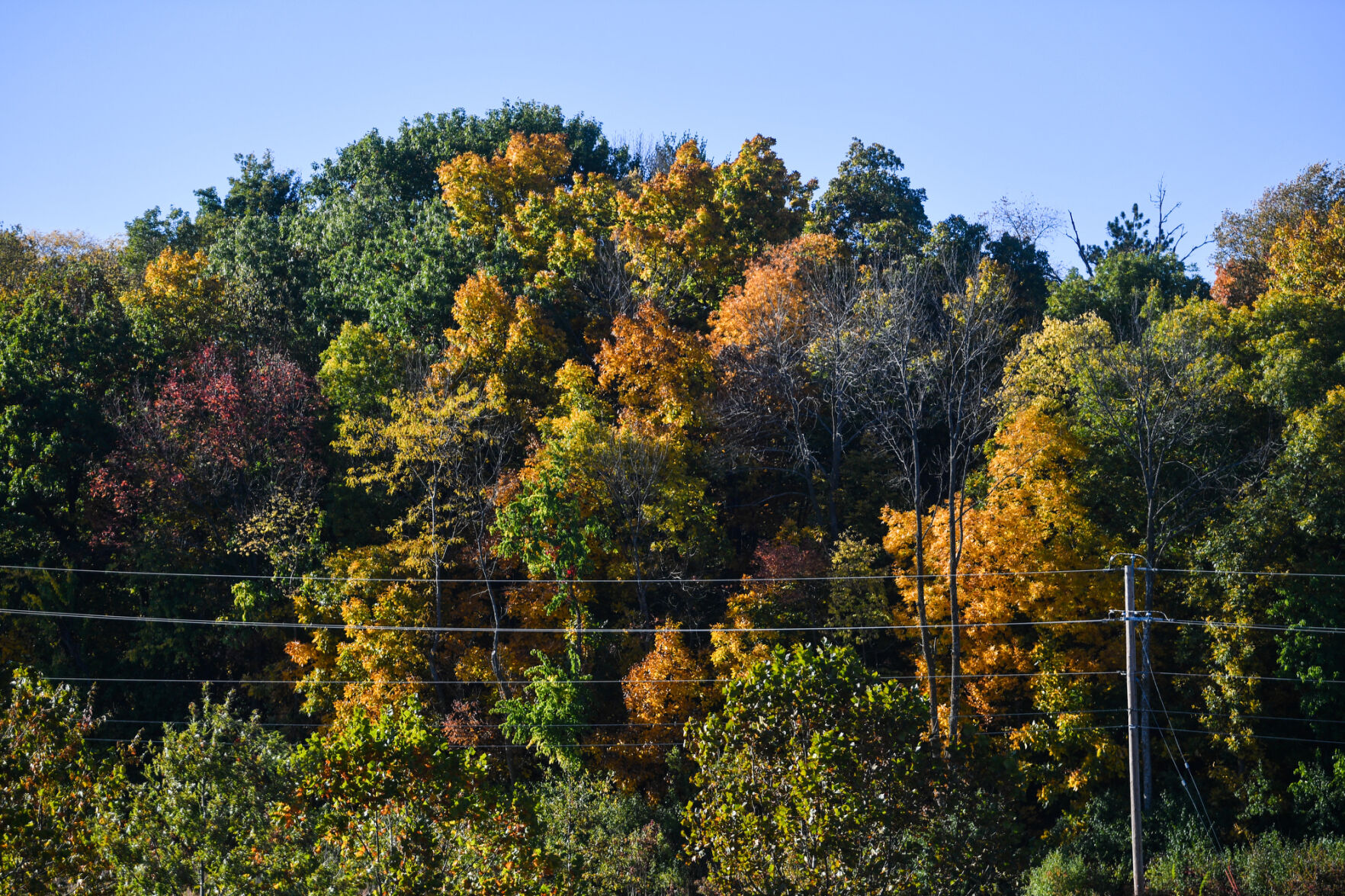 101420-qc-nws-fallcolors-002